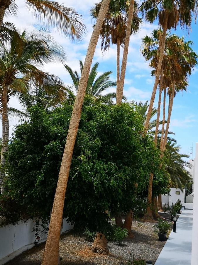 Appartement Estrella De Mar à Tarajalejo Extérieur photo